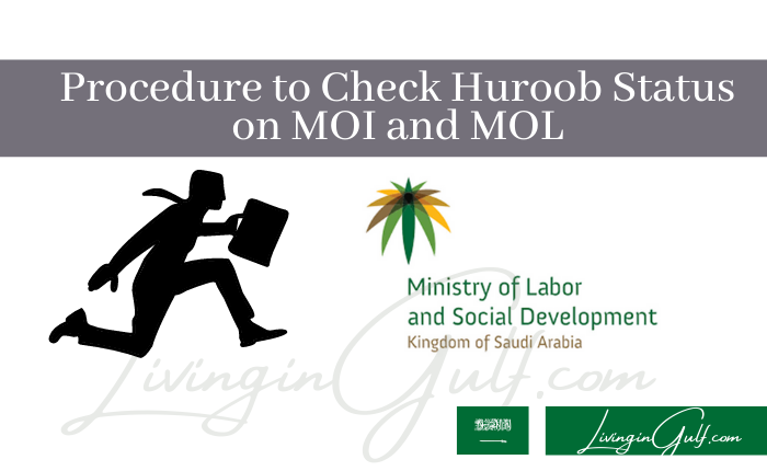 Procedure to Check Huroob Status on MOI and MOL-LivinginGulf.com